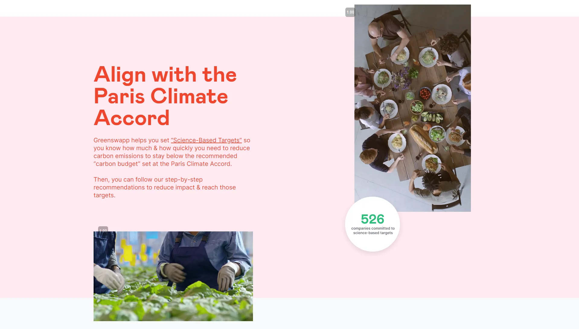 GreenSwapp — gallery 2